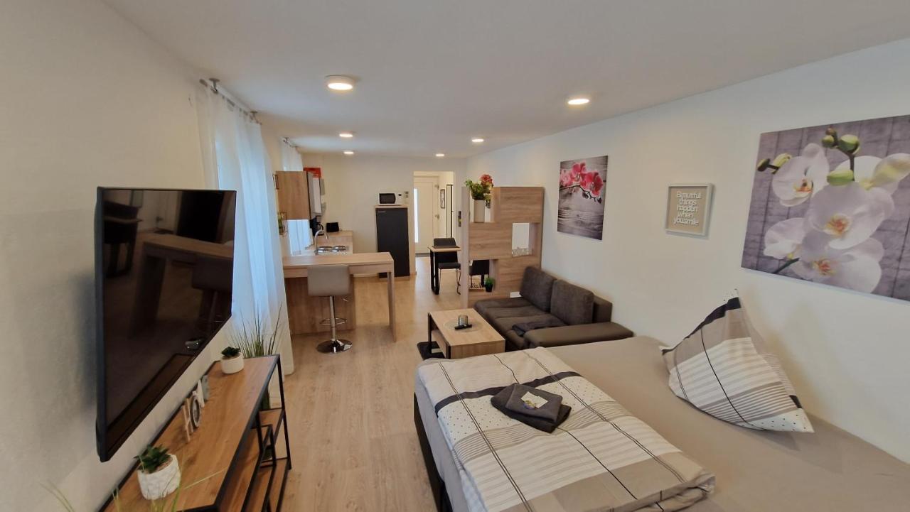 Appartment-Ferienwohnung Mit Kueche, Bad, Kostenlos Wlan, Modern Eingerichtet Roding Kültér fotó